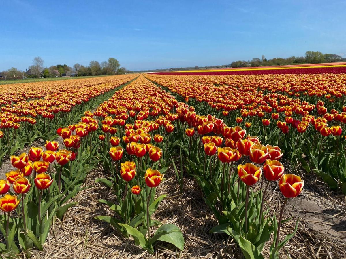 Zandrijk Egmond aan den Hoef Exterior foto